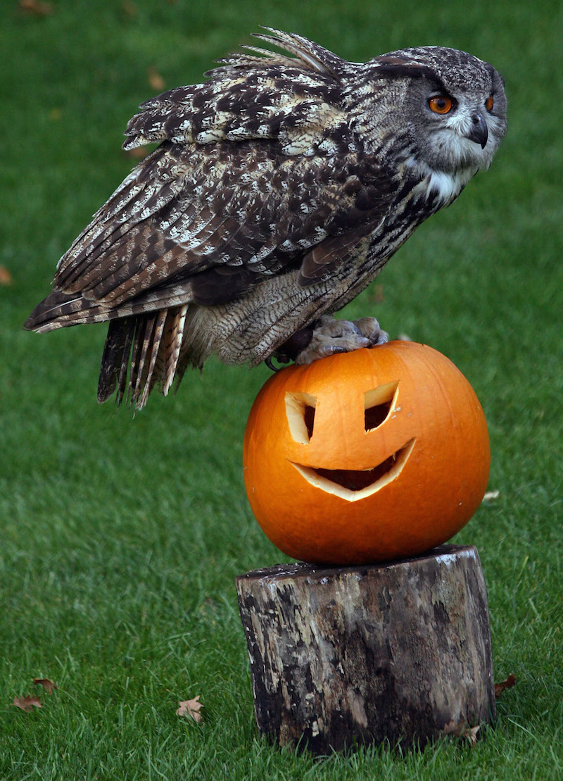 Image via Getty.